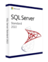 sql server 2022 standard